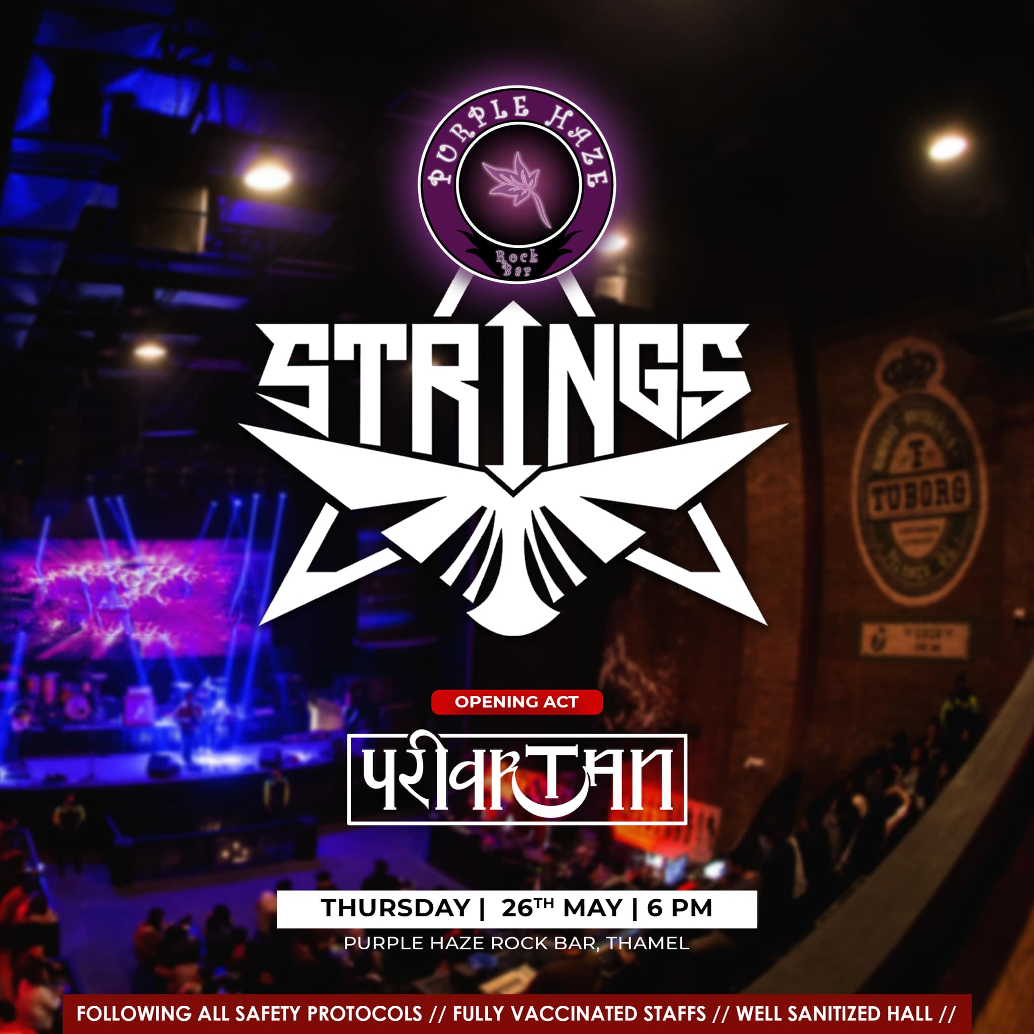 Strings Performing Live At Purple Haze Rock Bar